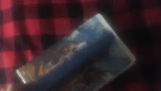 Brother Bear 2004 VHS Reuploaded