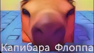Как найти Капибара Флоппа