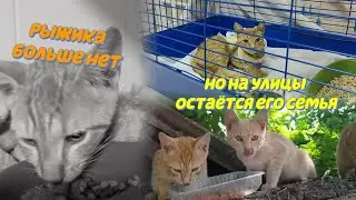 Ryzhik is no more. But his family lives in a dangerous place.