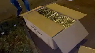 SUPERNAUT CNY288 SHOTS BRUTAL FORCE BAK | MANDARIN FIREWORKS