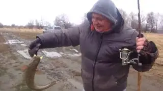 налим на спиниг