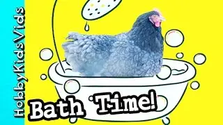 Chickens Get A Bath! Crazy Spring Time Fun by HobbyKidsVids
