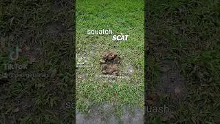 squatch scat