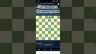 Техника постановки мата конем и слоном против Stockfish  #chess #шахматы
