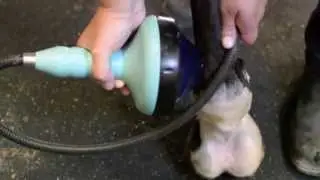 Halton Equine Veterinary Service - Educational Minute - Extracorporeal Shockwave Therapy