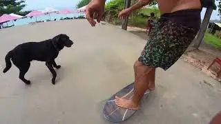 A Surf Day