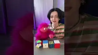 Вурсик учится считать😁 