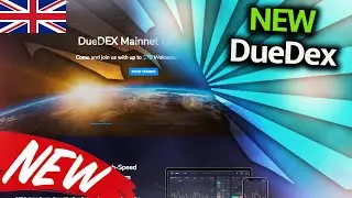 DueDEX - How to margin trade on DueDEX exchange