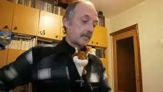 Ты мечтал