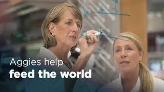 Aggie Impact: Helping Feed The World