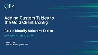 Adding Customer Tables to Gold Client Config Part 1: Identifying Relevant Tables