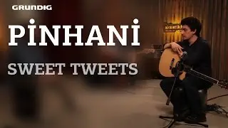 Pinhani - Sweet Tweets / 