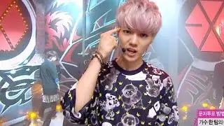 【TVPP】EXO - Growl, 엑소 - 으르렁 @ Comeback Stage, Show! Music Core Live