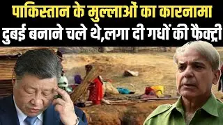 पाकिस्तान के कारनामे से हर कोई हैरान,लगाई गधों की फैक्ट्री