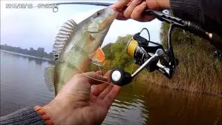 Drop Shot angeln am See