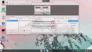 Installing Linux Distributions and running Feren Moefier on them for some video content