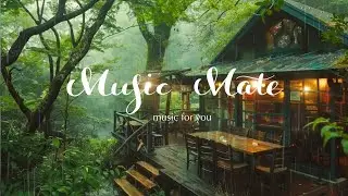 비오는 날의 숲☁비와 함께 듣는 수면음악+빗소리 ASMR