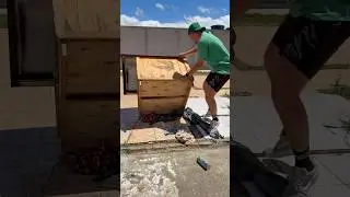 They destroyed my dog's kennel and blamed Davi! 
