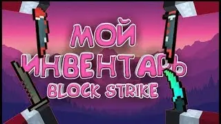 Мой инвентарь в Block Strike