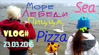 VLOG: Вкусная пицца / Море / Лебеди / Tasty pizza / Sea / Swans
