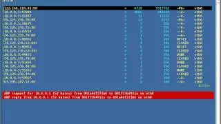 IPTraf  Level 1