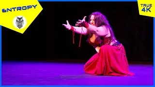 Entropy fusion dance at FISSION {2022}