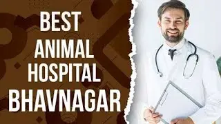 Animal Hospital in Bhavnagar, India