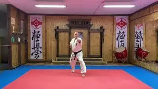 Ката "Янцу"