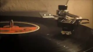Lene Lovich Lucky Number Vinyl Recording