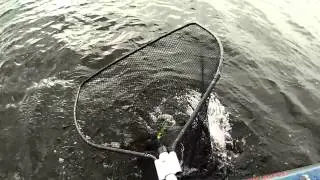 V.I.O. POV.HD  hits the water