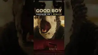 TE RESUMO GOOD BOY EN 1 MINUTO  #parati  #peliculas  #cine  #pelisnetflix  #goodboys  #fake
