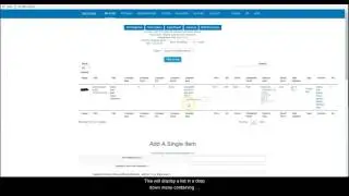 Sku Grid: Using the Grid - How to Find Items with Incorrect Variations