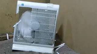 Smash Old Bonaire Box Fan