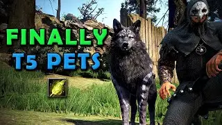 BDO | Tier 5 Pet - Short Guide