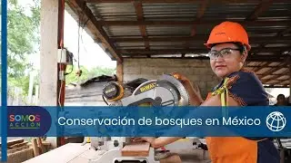 Conservación forestal y desarrollo sostenible en acción en México