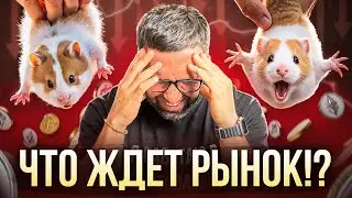 IS CRYPTO END?! BTC $76,000, alts at rock bottom, and Khabib's Telegram scams