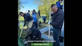 3 мая 2024 г.