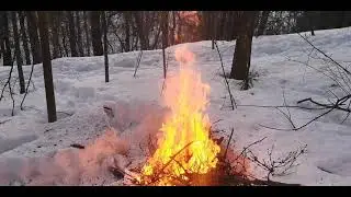 Весна пришла.