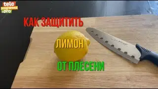 Как защитить лимон от плесени
