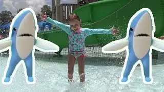 Milana playing with dad and baby shark in water park