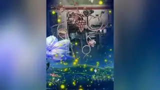 Маленький навес с виноградной лозой!Танцуем ШАФФЛ для похудения!