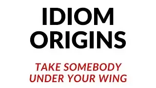Idiom Origins | Take Somebody Under Your Wing