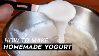 INFINITE YOGURT?!! - How to Make Yogurt at Home