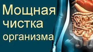 Очищение организма от шлаков и токсинов семенами льна…
