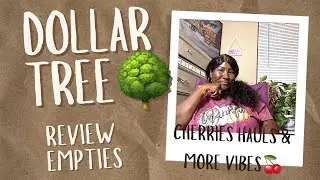 DOLLAR TREE 💵 🌳 | REVIEW EMPTIES | NOVEMBER 2025