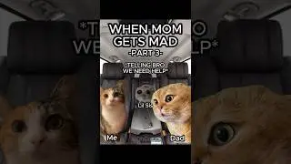CAT MEMES 🐱 WHEN MOM IS MAD PT.3 #relatable #cat #family #catlover #shorts