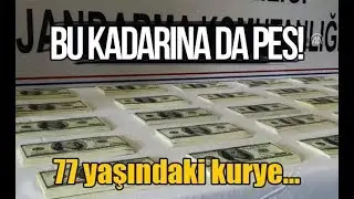 Bu kadarına da pes!