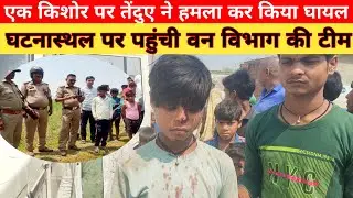 बलरामपुर:भैंस चरा रहे एक किशोर पर तेंदुए ने किया हमला