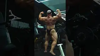 Ripped to shreds