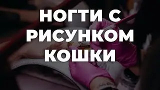Ногти с рисунком кошки 💥 ИДЕИ МАНИКЮРА 💥 ДИЗАЙН НОГТЕЙ 💖💖💖